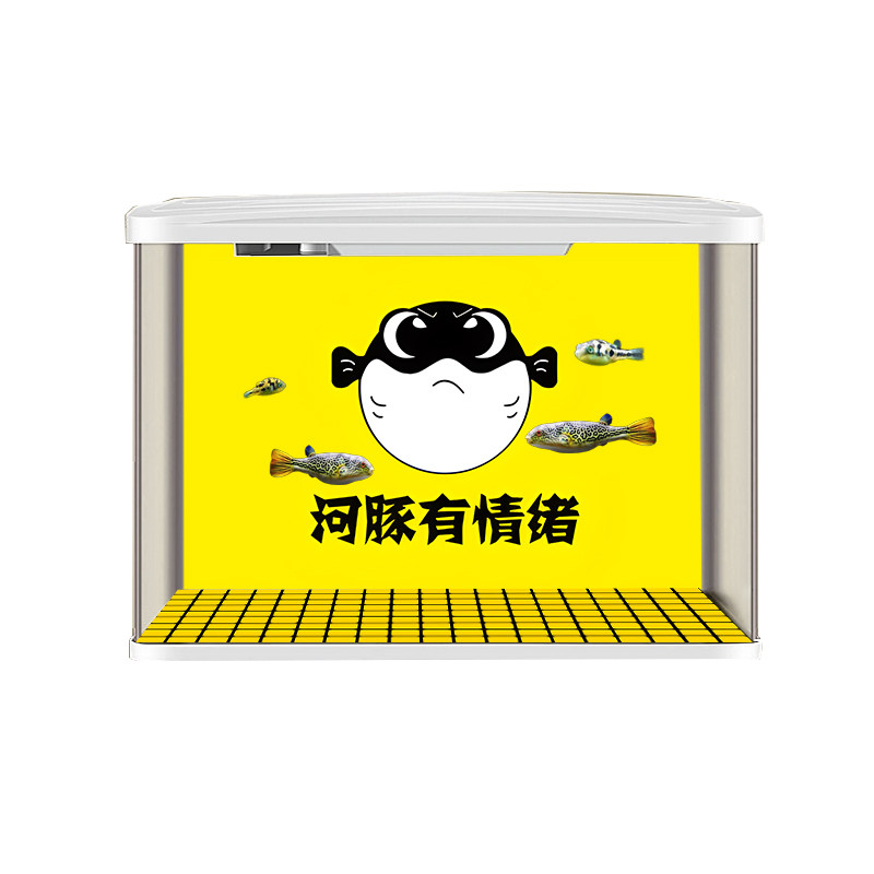 斑马狗头河豚黄色发力3d热门鱼缸