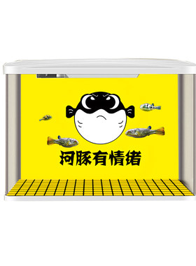 斑马狗头河豚黄色发力3d热门鱼缸
