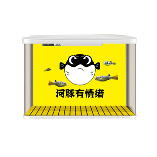 河豚鱼缸画壁纸黄色斑马狗头可定制高清3D立体效果自粘鱼缸壁纸画