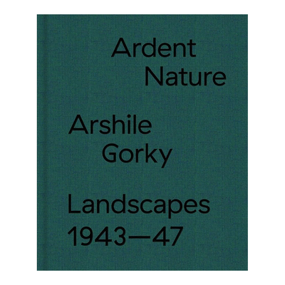 炽热的自然：阿希尔·高基风景