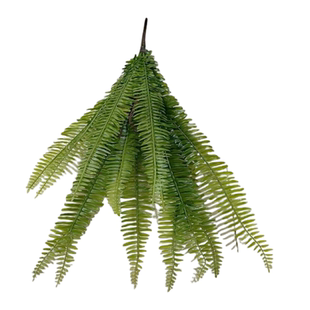 仿真蕨类植物 波斯草 蕨草 排草 植物墙配材 山芒 插花装饰 山草