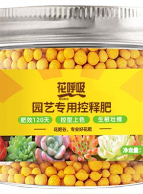 多肉颗粒长效控释肥全面营养颗粒