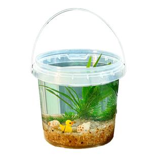 五年级科学生态瓶diy小鱼斑马鱼免换水微景观观赏鱼虾真水草活体