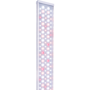 贵翔 植物补光灯全光谱多肉上色仿太阳光热植led专用植物生长灯