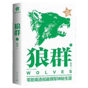 【正版图书】狼群2册 上下 刺血著 军旅小说 小说书籍湖南文艺出版社