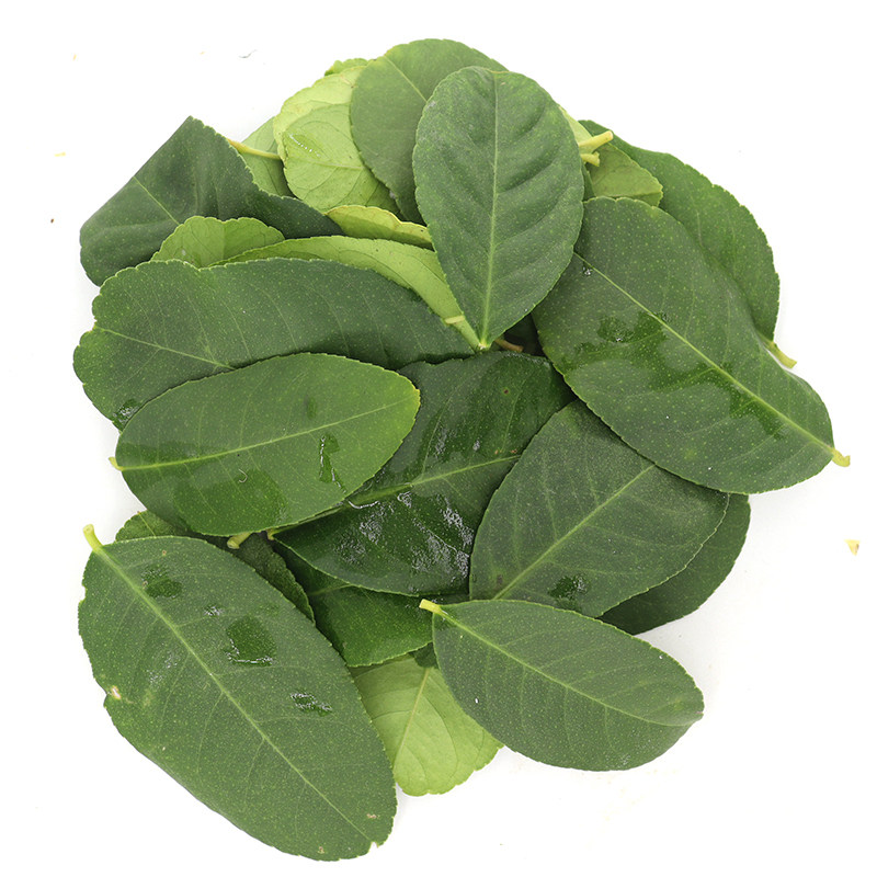 新鲜柠檬叶食用鱼生佐料
