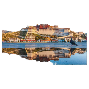 西藏拉萨一日游布达拉宫门票+大昭寺2.5h深度导游讲解可选免预约