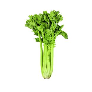 云南高原有机西芹有机蔬菜中国有机认证一件一码榨汁生食沙拉带叶