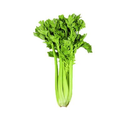 云南有机西芹榨汁生食一件一码