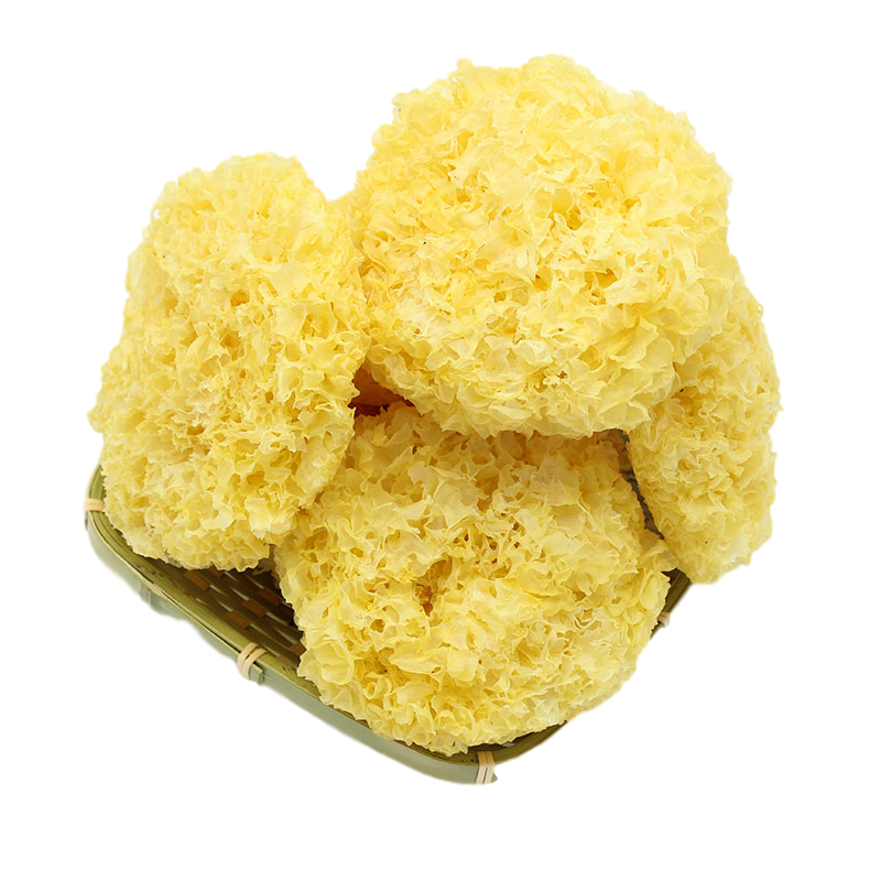 当季新货古田县银耳干货糯白木耳