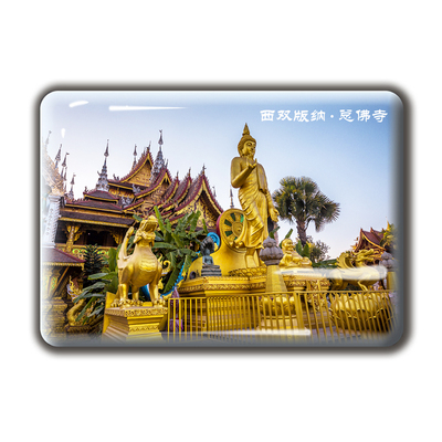 云南旅游纪念品冰箱贴滇池洱海