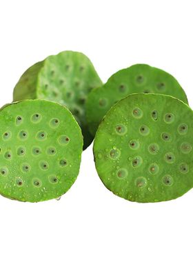 新鲜现摘湖北鲜莲蓬水果嫩莲蓬太空莲蓬生吃清甜嫩莲蓬加冰保鲜
