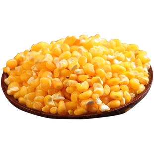 整粒大碴子5斤 纯正牛尾巴黄农家笨磨老味玉米大碴粥黑龙江