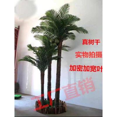 仿真椰子树室内外热带绿植假盆栽植物大型装饰酒店落地假树棕榈树