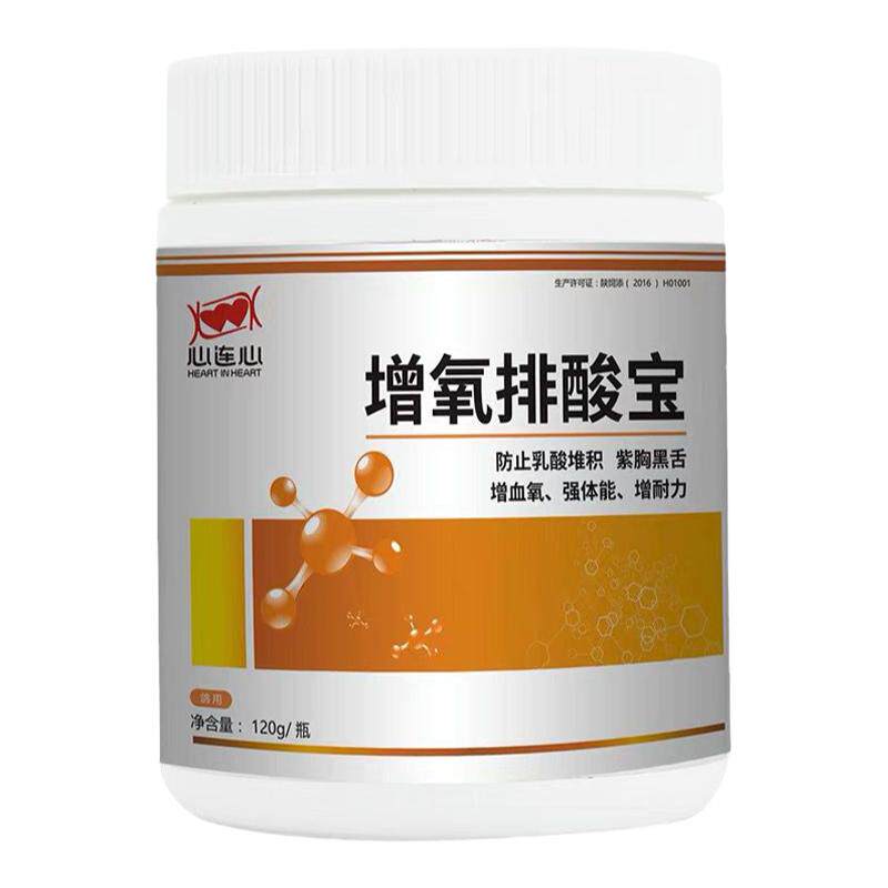 赛鸽酸赛鸽比赛调理保健鸽子