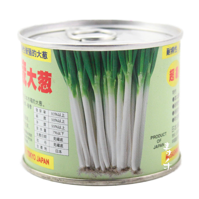 蔬菜日本耐热高产大葱种子