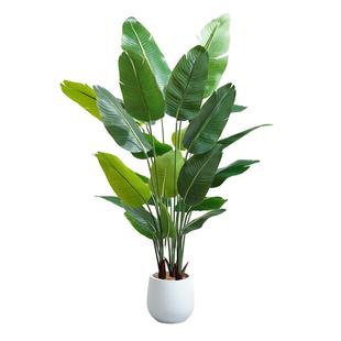 旅人蕉仿真绿植假植物装饰室内大型盆栽天堂鸟仿生花客厅落地摆件