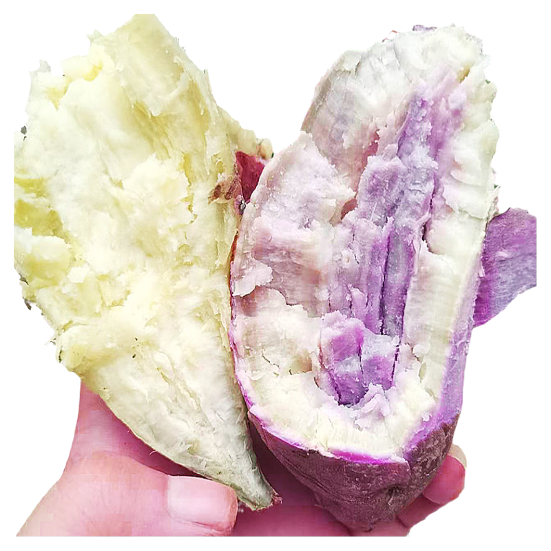 爆皮王番薯新鲜现挖白心粉面板栗薯香甜山芋冰淇淋地瓜一点红红薯