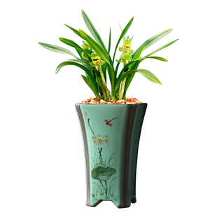 紫砂兰花盆室内透气素面束腰兰草专用盆带底托建兰四季兰春兰花盆