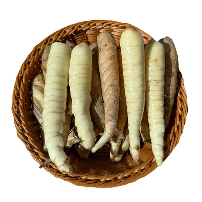 正宗高州竹薯新鲜现挖冬粉薯竹芋应季冬笋蔬菜火锅煲汤食材包邮