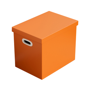 网红带盖纸质收纳箱玩具零食文件档案装书搬家储物整理后备箱盒子