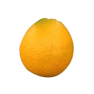 11月开售 云南宾川纽荷尔脐橙现摘现发新鲜橙子应季当季水果5/9斤