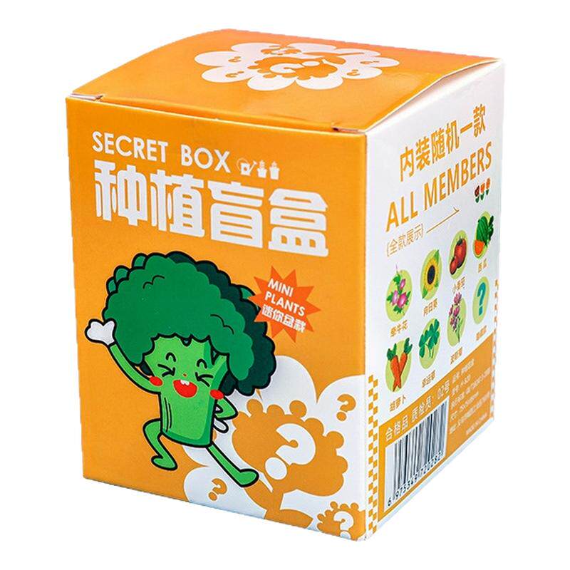 实用儿童DIY种植盲盒开业活动赠品店庆礼物三年级学生奖励小礼品