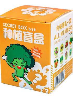 实用儿童DIY种植盲盒开业活动赠品店庆礼物三年级学生奖励小礼品