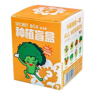 实用儿童DIY种植盲盒开业活动赠品店庆礼物三年级学生奖励小礼品