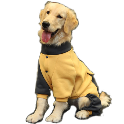 柔软舒适加厚卫衣防着凉