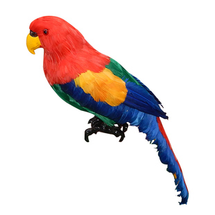 仿真鸟类真羽毛彩色鹦鹉模型道具摆件假小鸟玩具动物装饰玩偶挂件