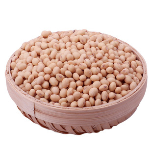 贵州小黄豆农家自种散装5斤非转基因打豆浆专用本地老品种土黄豆