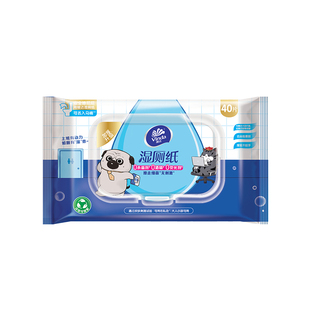 维达湿厕纸湿巾便携厕所湿纸巾家用男女性专用卫生私处擦屁股厕纸