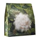 55.53babycare山茶一次性产妇免洗内裤20条