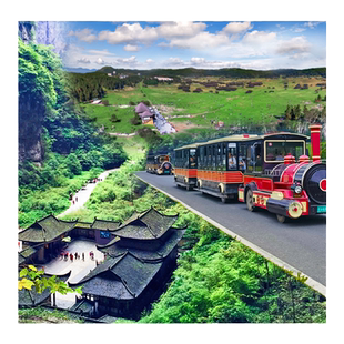 重庆旅游武隆一日游纯玩天生三桥天坑地缝仙女山2-8人小团上门接