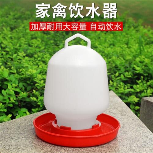 水槽饮水壶水桶小鸡喝水饮水器自动喂水器喂鸡水壶养鸡设备用品