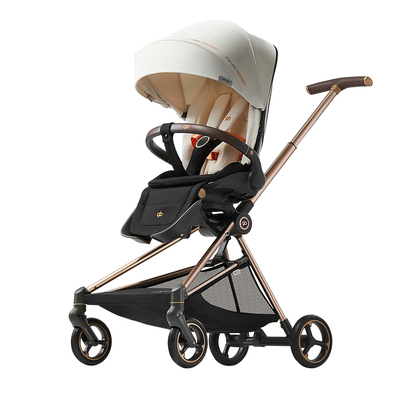 gb好孩子欧标国标双认证遛娃神器