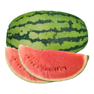 金城五号甜王西瓜种子种籽孑高产黑皮京欣水果巨型特大四季懒汉超