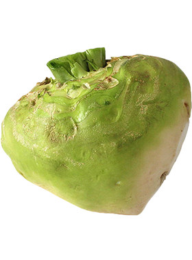 蔬菜二道北方秋季光头芥菜