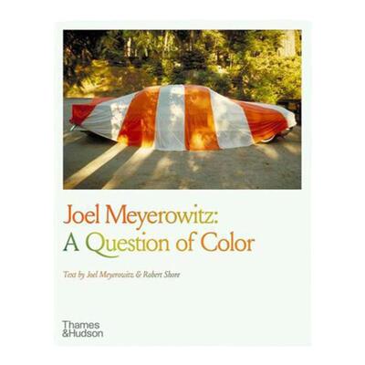 预售 Joel Meyerowitz: A Question Of Colour 进口英文原版摄影画册 华源时空 T&H