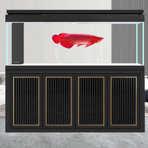 2025新款龙鱼缸水族箱底过滤客厅大型落地家用办公室免换水超白缸