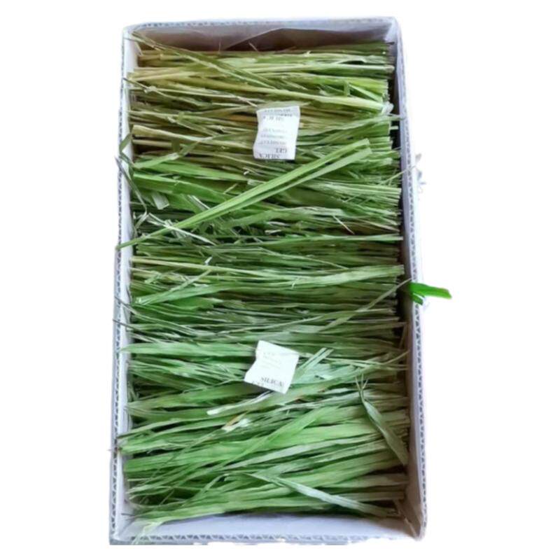 兔子提摩西烘干燕麦草专用饲料