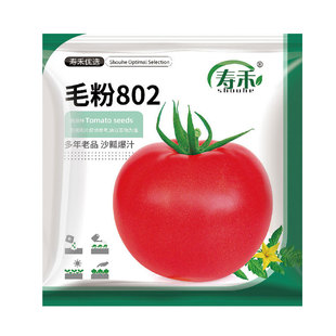 四季蔬菜种子盲盒家庭菜园番茄辣椒春季种植香菜瓜果蔬菜种籽