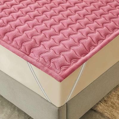 抗菌防螨牛奶法兰绒床垫褥子垫被冬季毛毯子垫子铺床毛绒学生宿舍