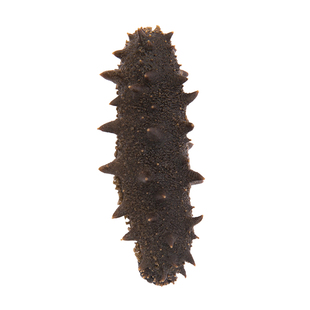 半干海参野生大连海参盐干深海辽参海参干货 500克拉缸盐海参