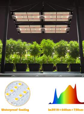 外贸热销全光谱量子板植物灯240wLM301H种植灯UVIR单控智能植物灯
