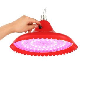 微草12V-85V工厂直销夜市摆摊