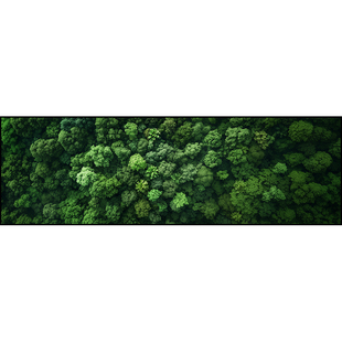 绿色森林客厅长横幅装饰画风景画沙发背景墙挂画现代轻奢墙画壁画