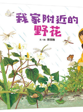 【老师推荐】我家附近的野花绘本