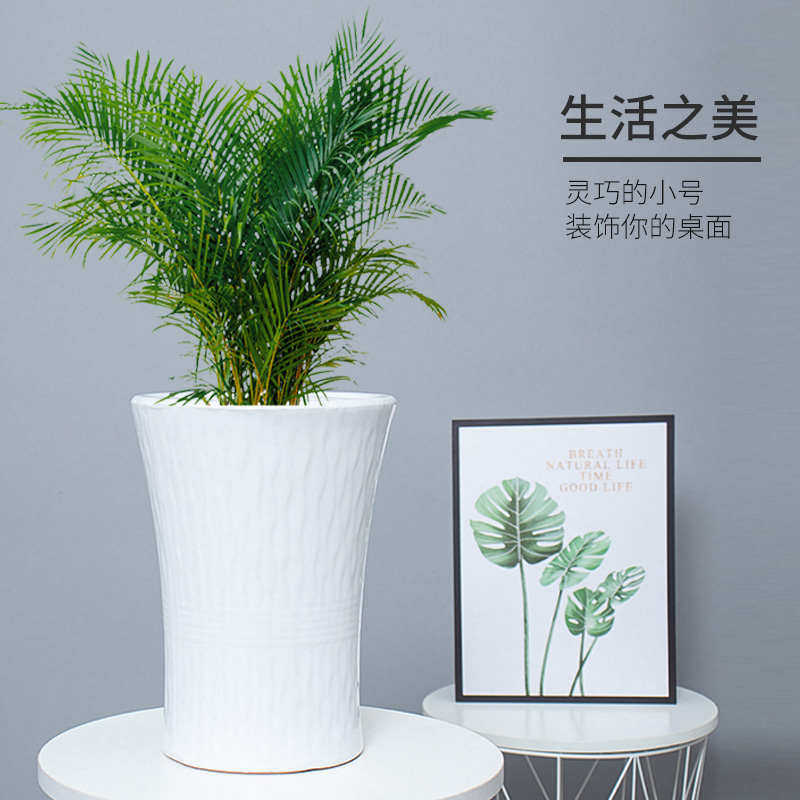 特大号陶瓷花盆简约中欧式落地白大口径种树绿植盆栽家用庭院客厅